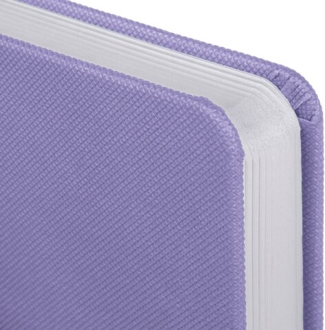 Ежедневник датированный 2026, А5, 138x213 мм, BRAUBERG "Control", под кожу, держатель для ручки, сиреневый, 117125