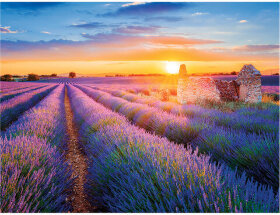 Картина стразами (алмазная мозаика) 40х50 см, ОСТРОВ СОКРОВИЩ &quot;Лавандовое поле&quot;, на подрамнике, 662426