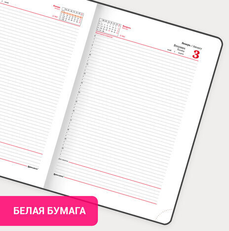 Ежедневник датированный 2023 БОЛЬШОЙ ФОРМАТ 210х297 мм А4, BRAUBERG "Favorite", зеленый, 113906