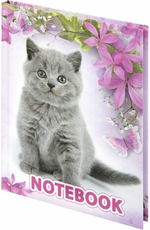 Блокнот МАЛЫЙ ФОРМАТ 110х147 мм А6, 80 л., твердый переплет, клетка, выборочный лак, BRAUBERG, "Котята", 122192