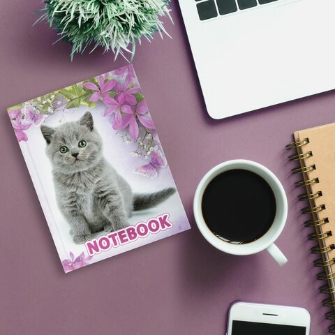 Блокнот МАЛЫЙ ФОРМАТ 110х147 мм А6, 80 л., твердый переплет, клетка, выборочный лак, BRAUBERG, "Котята", 122192