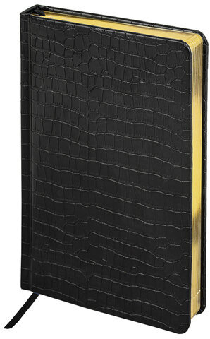 Ручка перьевая PARKER "IM Core Black Lacquer GT", ежедневник А5 черный, пакет, 880900