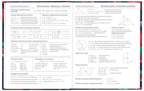 Дневник 5-11 класс 48 л., твердый, BRAUBERG, глянцевая ламинация, с подсказом, "Гранаты", 106621