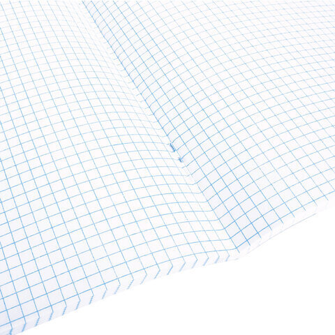 Тетрадь А5, 48 л. BRAUBERG, скоба, клетка, глянцевый лак, "Anime" (микс в спайке), 404348