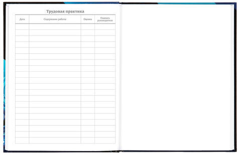 Дневник 5-11 класс 48 л., твердый, BRAUBERG, глянцевая ламинация, с подсказом, "Hi-Tech", 106394