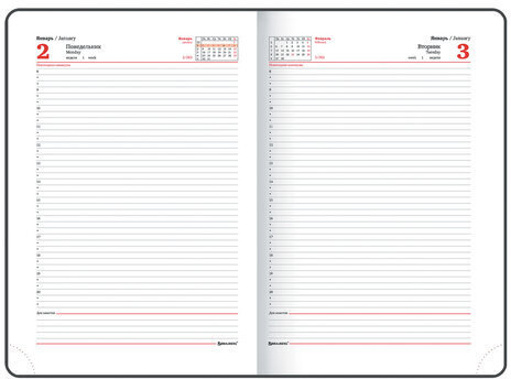Ежедневник датированный 2023 БОЛЬШОЙ ФОРМАТ 210х297 мм А4, BRAUBERG "Favorite", синий, 113908