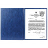 Папка адресная ПВХ "НА ПОДПИСЬ", формат А4, увеличенная вместимость до 100 листов, синяя, "ДПС", 2032.Н-101