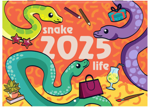 Календарь-планер настенный перекидной на 2025 г., BRAUBERG, 12 листов, 30х22 см, "История змейки", 116174