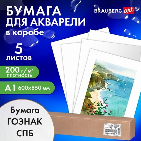 Бумага для акварели А1 (600х850 мм), КОМПЛЕКТ 5 листов, среднее зерно, 200 г/м2, ГОЗНАК, BRAUBERG ART, 114488