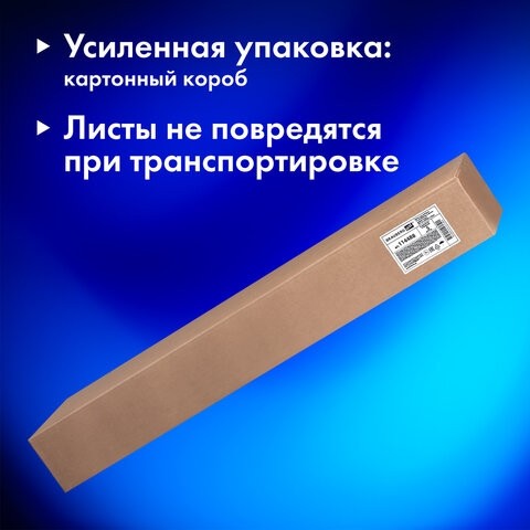 Бумага для акварели А1 (600х850 мм), КОМПЛЕКТ 5 листов, среднее зерно, 200 г/м2, ГОЗНАК, BRAUBERG ART, 114488