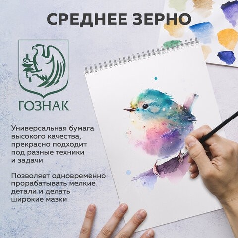 Бумага для акварели А1 (600х850 мм), КОМПЛЕКТ 5 листов, среднее зерно, 200 г/м2, ГОЗНАК, BRAUBERG ART, 114488
