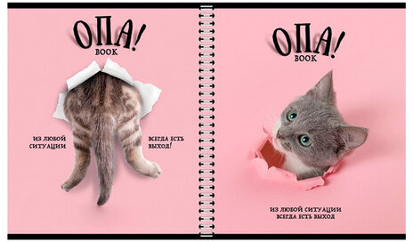 Тетрадь А5 96 л. ПЗБМ, гребень, клетка/линия, выборочный лак, перевёртыш, "Опа!" (5 видов), 028558