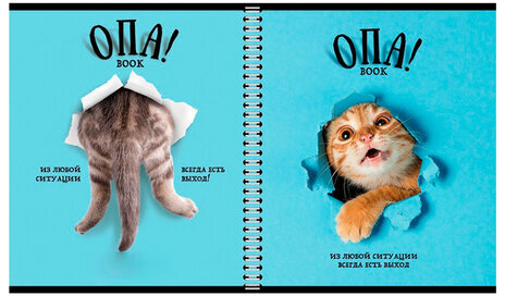 Тетрадь А5 96 л. ПЗБМ, гребень, клетка/линия, выборочный лак, перевёртыш, "Опа!" (5 видов), 028558