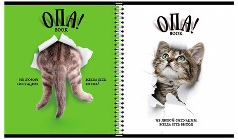 Тетрадь А5 96 л. ПЗБМ, гребень, клетка/линия, выборочный лак, перевёртыш, "Опа!" (5 видов), 028558