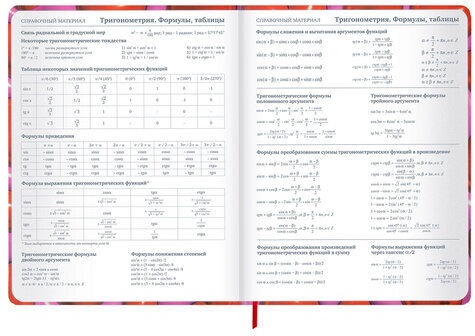 Дневник 1-11 класс 48 л., твердый, BRAUBERG, матовая ламинация, резинка, закладка-ляссе, с подсказом, "Сердечки", 107241