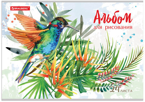 Альбом для рисования А4 24 л., скоба, обложка картон, BRAUBERG, 202х285 мм, "Райские птички" (2 вида), 105609