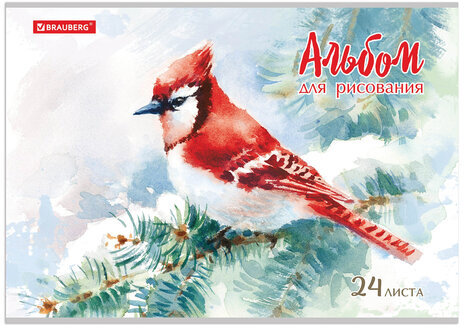 Альбом для рисования А4 24 л., скоба, обложка картон, BRAUBERG, 202х285 мм, "Райские птички" (2 вида), 105609