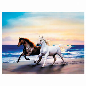 Картина стразами (алмазная мозаика) 40х50 см, ОСТРОВ СОКРОВИЩ &quot;Бегущие по волнам&quot;, на подрамнике, 662428