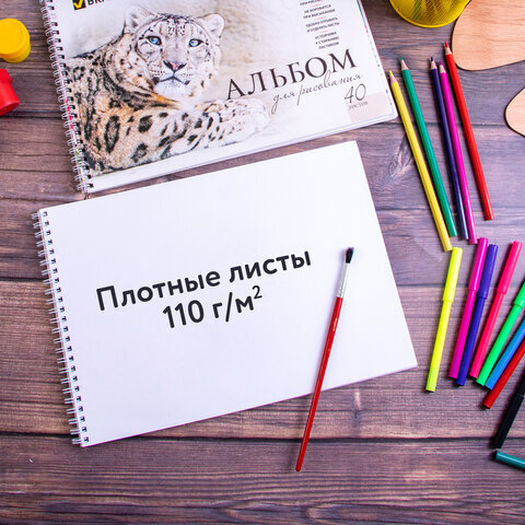 Альбомы для рисования А4 40 л., КОМПЛЕКТ 2 шт., гребень, обложка картон, BRAUBERG, 205х290 мм, "Хищники" (2 вида), 880028