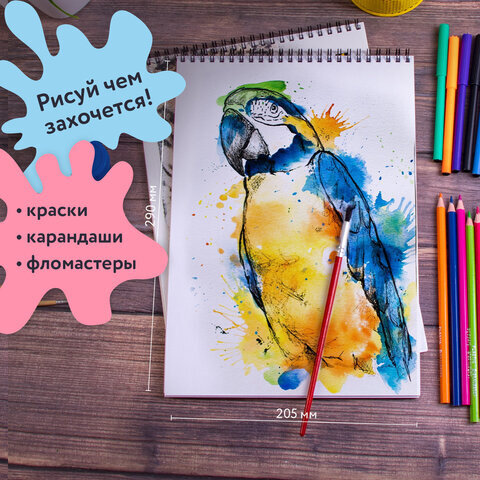 Альбомы для рисования А4 40 л., КОМПЛЕКТ 2 шт., гребень, обложка картон, BRAUBERG, 205х290 мм, "Хищники" (2 вида), 880028