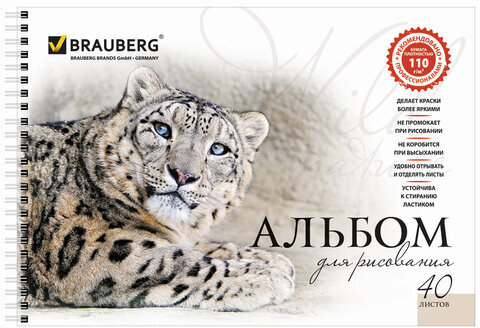 Альбомы для рисования А4 40 л., КОМПЛЕКТ 2 шт., гребень, обложка картон, BRAUBERG, 205х290 мм, "Хищники" (2 вида), 880028