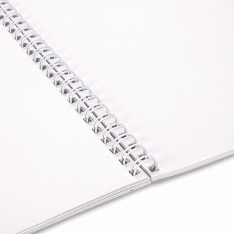 Альбомы для рисования А4 40 л., КОМПЛЕКТ 2 шт., гребень, обложка картон, BRAUBERG, 205х290 мм, "Хищники" (2 вида), 880028