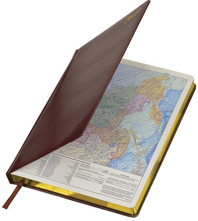 Ежедневник датированный 2023 БОЛЬШОЙ ФОРМАТ 210х297 мм А4, BRAUBERG "Iguana", коричневый, 113910