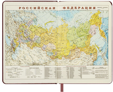 Ежедневник датированный 2023 БОЛЬШОЙ ФОРМАТ 210х297 мм А4, BRAUBERG "Iguana", коричневый, 113910