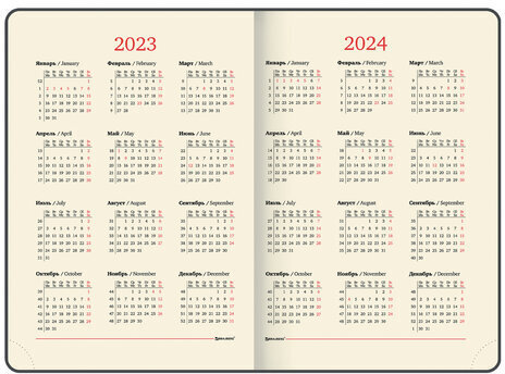 Ежедневник датированный 2023 БОЛЬШОЙ ФОРМАТ 210х297 мм А4, BRAUBERG "Iguana", коричневый, 113910