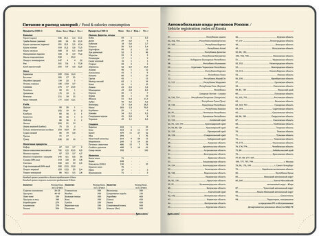 Ежедневник датированный 2023 БОЛЬШОЙ ФОРМАТ 210х297 мм А4, BRAUBERG "Iguana", коричневый, 113910