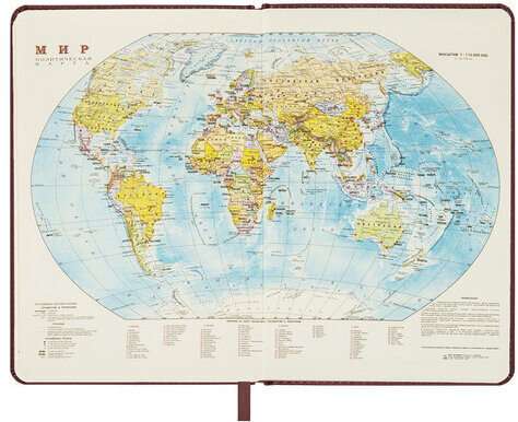 Ежедневник датированный 2023 БОЛЬШОЙ ФОРМАТ 210х297 мм А4, BRAUBERG "Iguana", коричневый, 113910