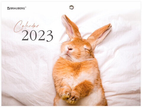 Календарь квартальный на 2023 г., 3 блока, 3 гребня, с бегунком, мелованная бумага, "BUNNY", BRAUBERG, 114247