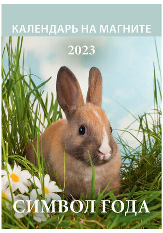 Календарь отрывной на магните 2023 г., "Символ года 2 календарь на каждый день", 1123010