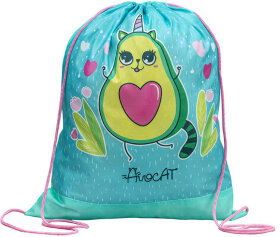 Мешок для обуви ПИФАГОР, 1 отделение, полиэстер, 42х34 см, &quot;Avocat&quot;, 270902