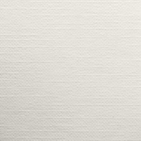 Бумага для пастели БОЛЬШАЯ А3, 20 л., 200г/м2, слоновая кость ГОЗНАК 200 г/м2, тиснение Холст, BRAUBERG ART, 126305