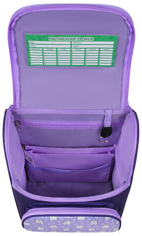 Ранец ПИФАГОР BASIC, 1 отделение, 3 кармана, эргономичная спинка, "Happy bear", 35х28х18 см, 272047