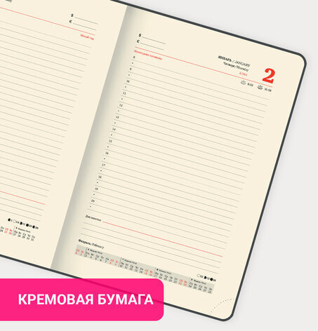 Ежедневник датированный 2025 А5 138x213 мм, BRAUBERG "Optimal", под кожу, резинка-фиксатор, держатель для ручки, бежевый, 115894