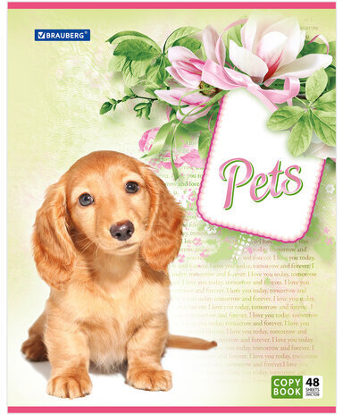 Тетрадь А5, 48 л., BRAUBERG, клетка, обложка картон, ЛЮБИМЧИКИ, 401816