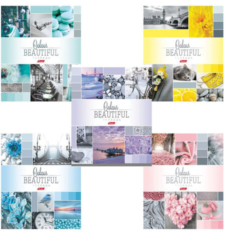 Тетрадь А5, 96 л., HATBER, скоба, клетка, обложка картон, "BEAUTIFUL COLOURE" (5 видов), 96Т5В1, T241349