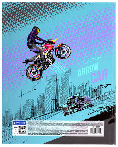 Дневник 5-11 класс 48 л., твердый, BRAUBERG, глянцевая ламинация, с подсказом, "Race Car", 106624