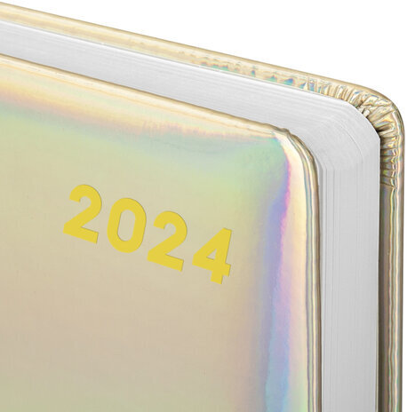 Ежедневник датированный 2024 А5 138x213 мм, BRAUBERG "Holiday", под кожу, "зеркальный", серебро, 114846