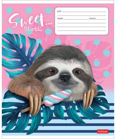 Тетрадь 12 л. HATBER клетка, обложка картон, "Улыбнись!" (5 видов в спайке), 12Т5В1