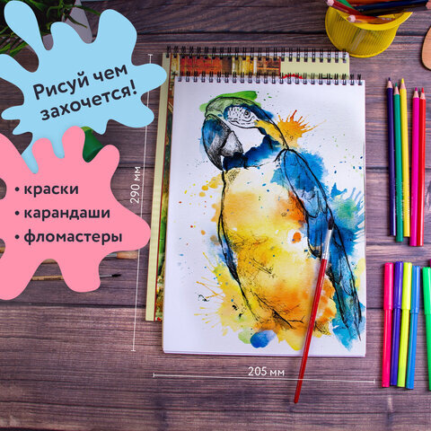 Альбомы для рисования А4 40 л., КОМПЛЕКТ 2 шт., гребень, обложка картон, BRAUBERG, 205х290 мм, "Город" (2 вида), 880029