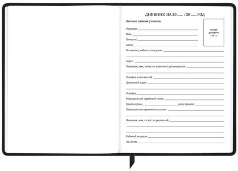 Дневник 1-11 класс 48 л., кожзам (твердая с поролоном), фольга, BRAUBERG HOLIDAY, "Free Spirit", 106568