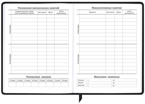 Дневник 1-11 класс 48 л., кожзам (твердая с поролоном), фольга, BRAUBERG HOLIDAY, "Free Spirit", 106568