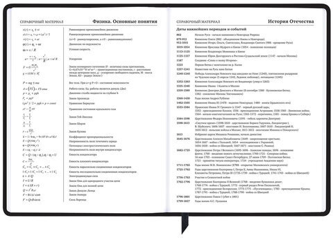 Дневник 1-11 класс 48 л., кожзам (твердая с поролоном), фольга, BRAUBERG HOLIDAY, "Free Spirit", 106568