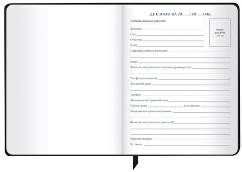 Дневник 1-11 класс 48 л., кожзам (твердая с поролоном), фольга, BRAUBERG HOLIDAY, "Free Spirit", 106568