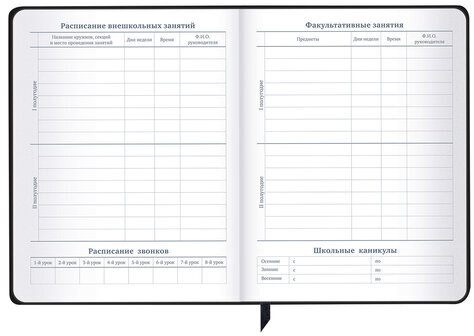 Дневник 1-11 класс 48 л., кожзам (твердая с поролоном), фольга, BRAUBERG HOLIDAY, "Free Spirit", 106568