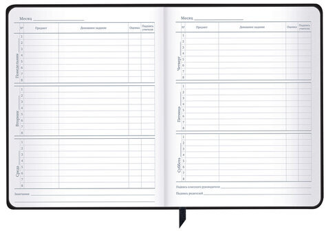 Дневник 1-11 класс 48 л., кожзам (твердая с поролоном), фольга, BRAUBERG HOLIDAY, "Free Spirit", 106568