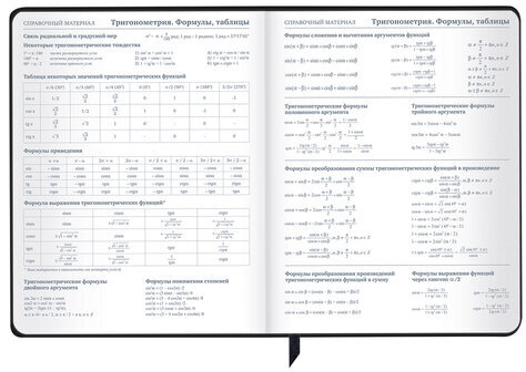 Дневник 1-11 класс 48 л., кожзам (твердая с поролоном), фольга, BRAUBERG HOLIDAY, "Free Spirit", 106568